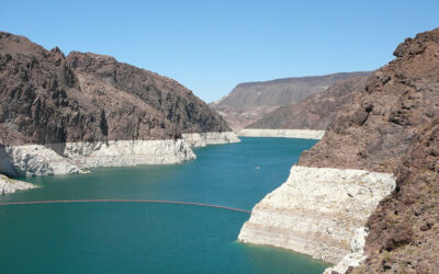 Miksi uusi järjestelmä jää vajaakäyttöön?